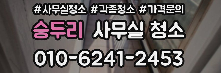 승두리 사무실 청소