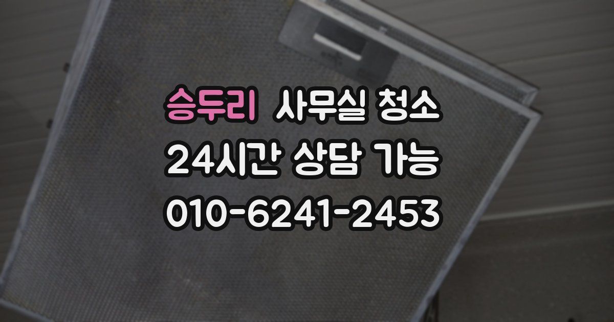 승두리 사무실 청소