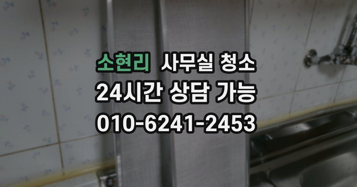 소현리 사무실 청소