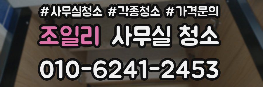 조일리 사무실 청소