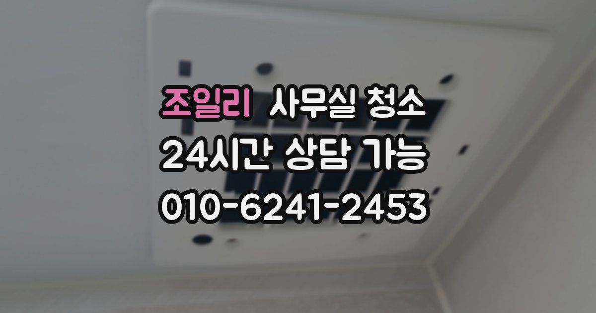 조일리 사무실 청소