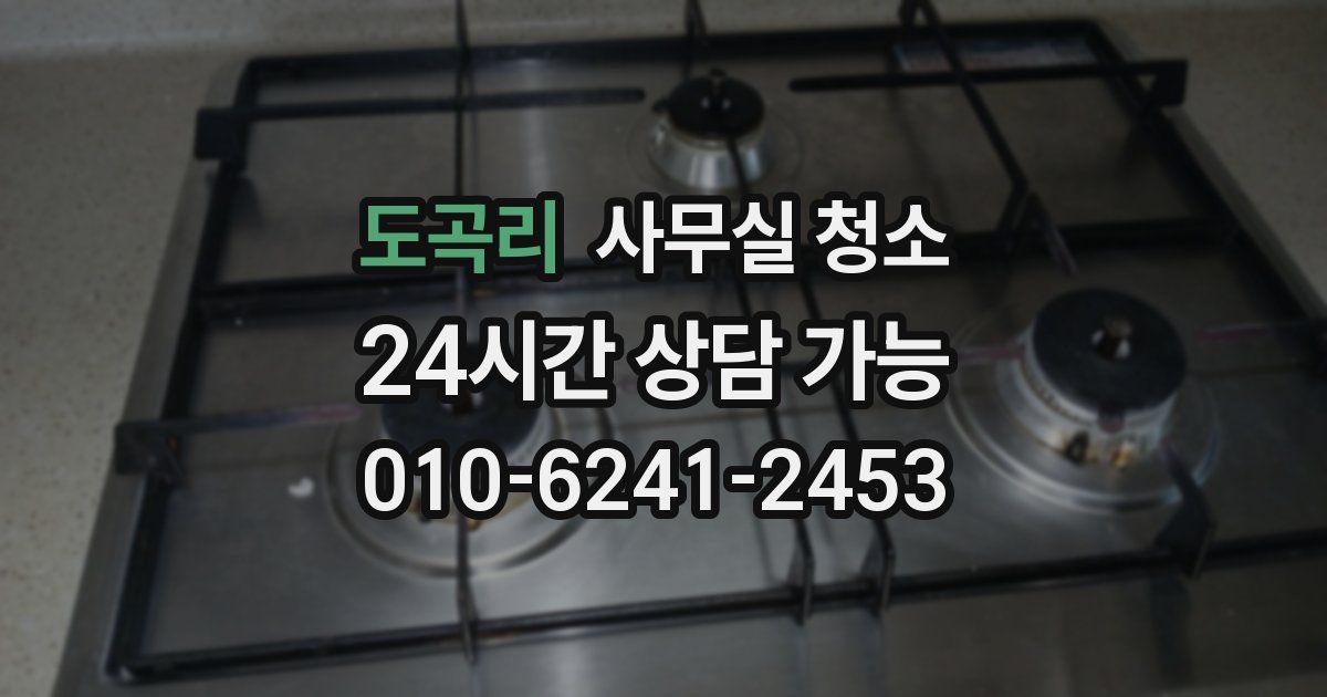 도곡리 사무실 청소