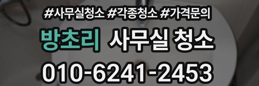 방초리 사무실 청소