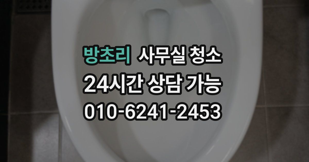 방초리 사무실 청소