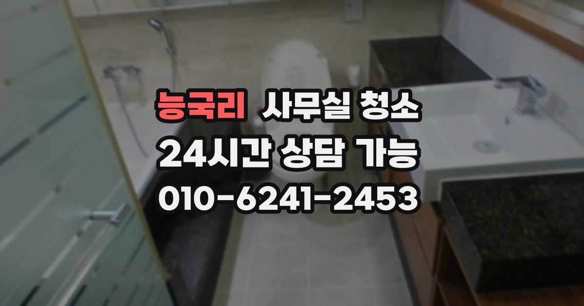 능국리 사무실 청소