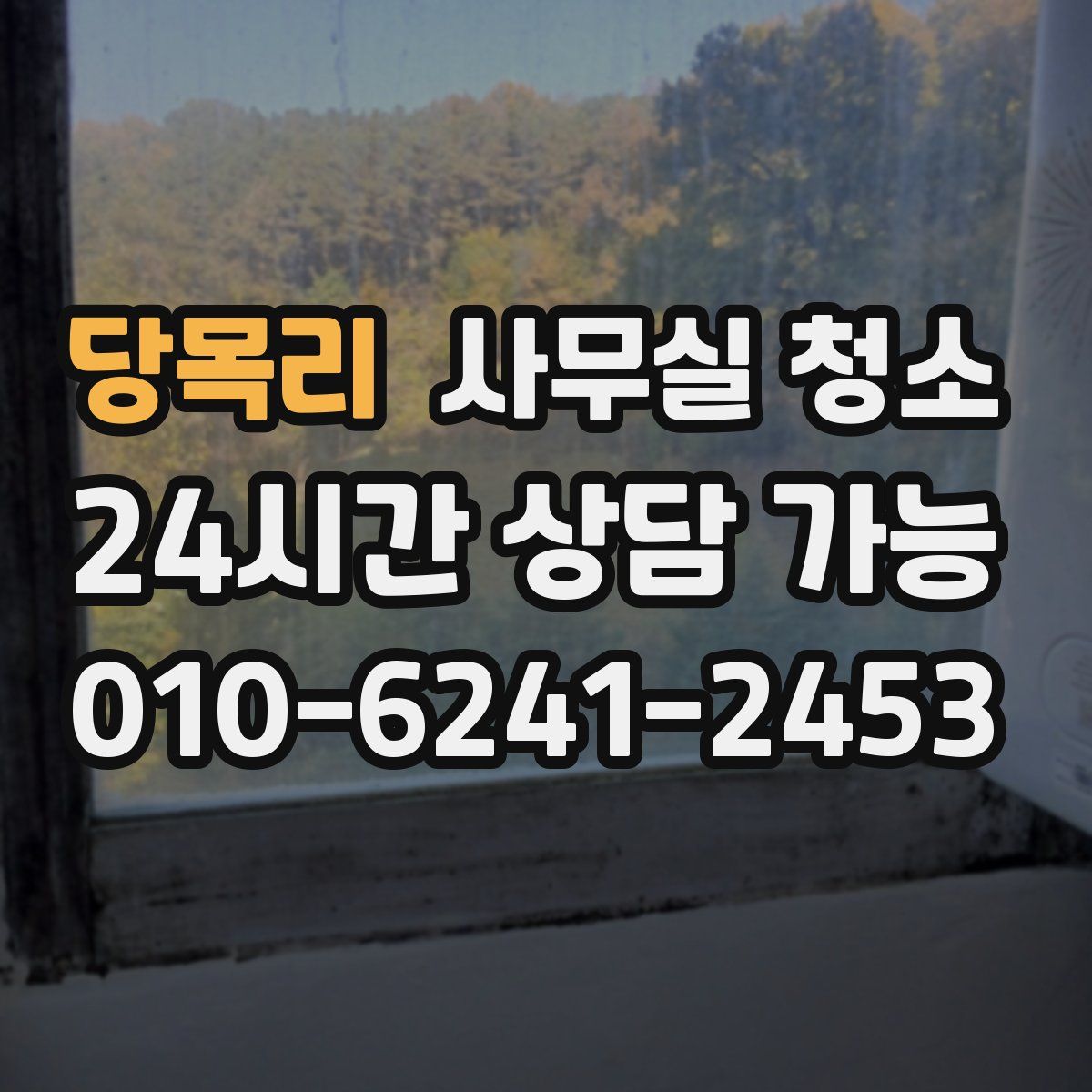당목리 사무실 청소