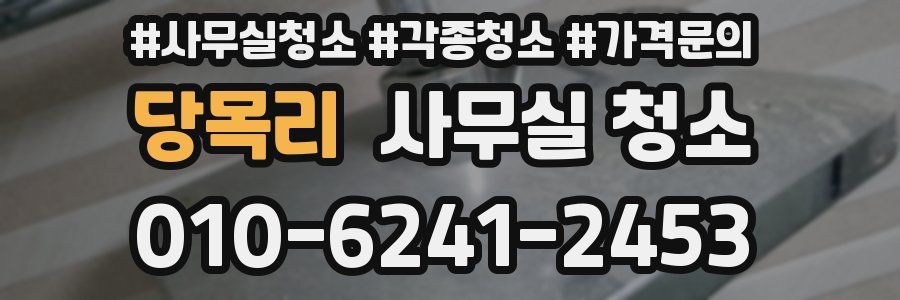 당목리 사무실 청소