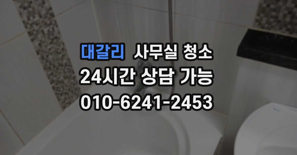 대갈리 사무실 청소