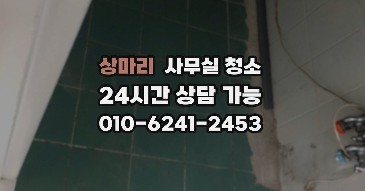 상마리 사무실 청소