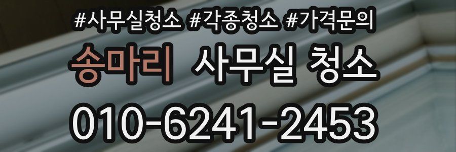 송마리 사무실 청소