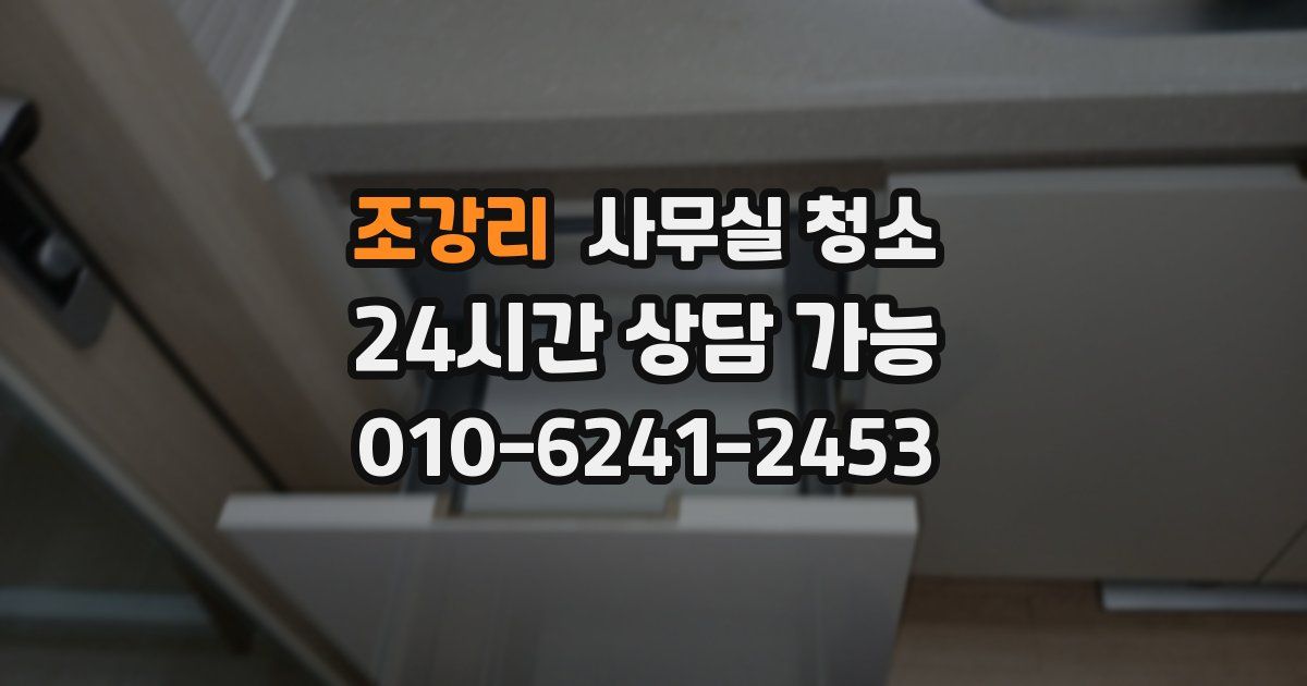 조강리 사무실 청소