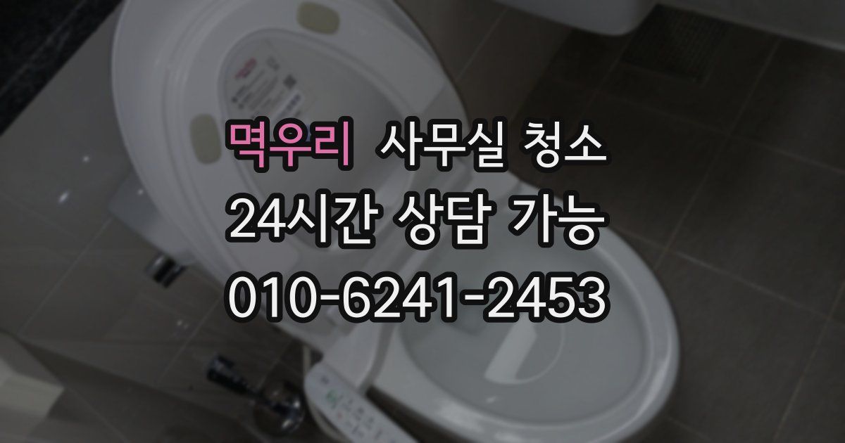 멱우리 사무실 청소