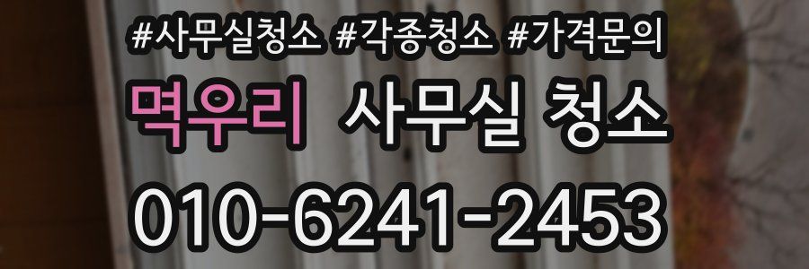 멱우리 사무실 청소