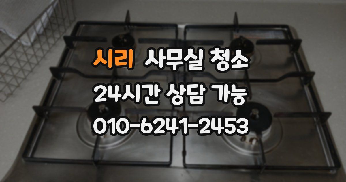 시리 사무실 청소