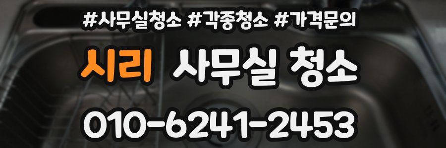 시리 사무실 청소