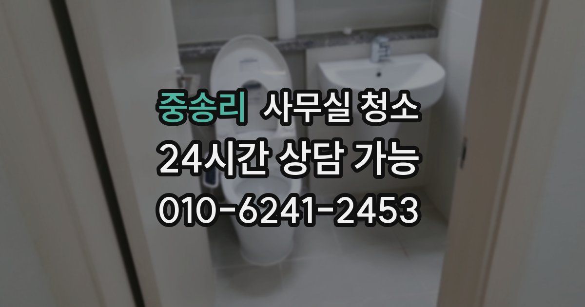 중송리 사무실 청소