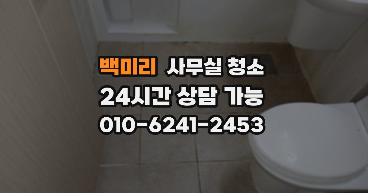 백미리 사무실 청소