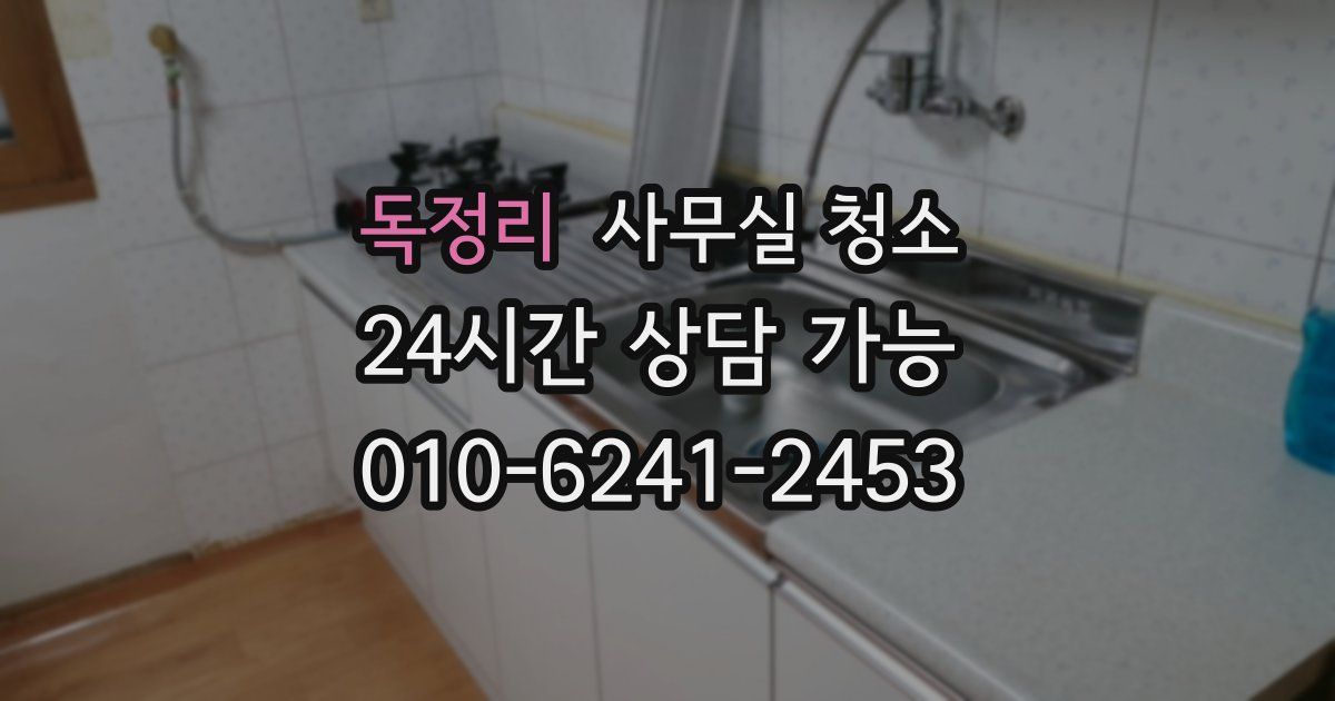독정리 사무실 청소