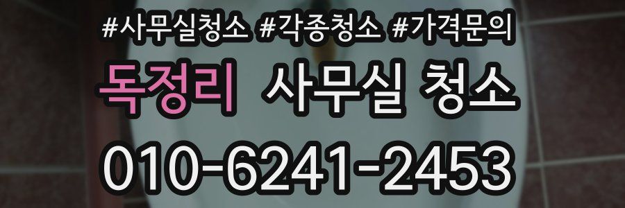 독정리 사무실 청소