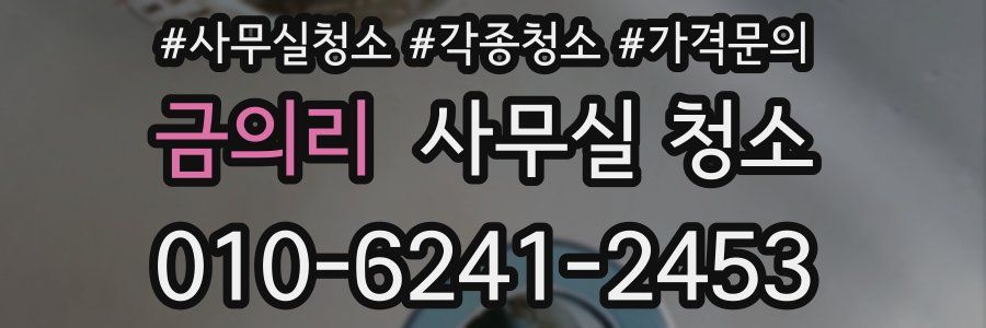 금의리 사무실 청소
