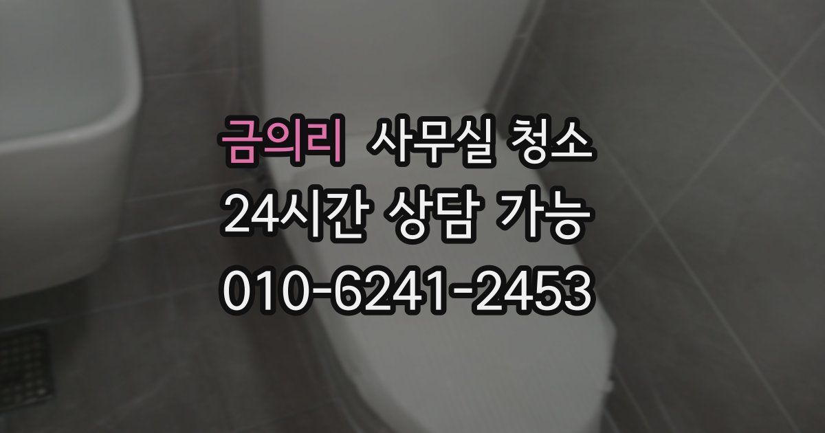 금의리 사무실 청소