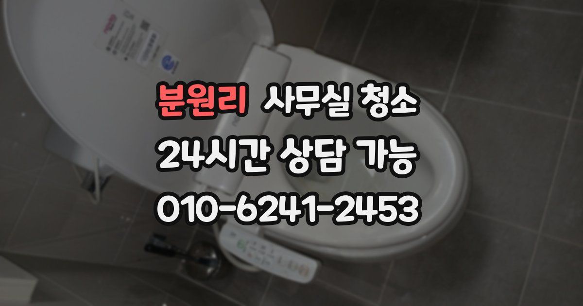 분원리 사무실 청소