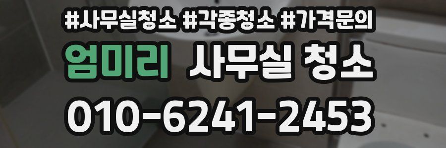 엄미리 사무실 청소