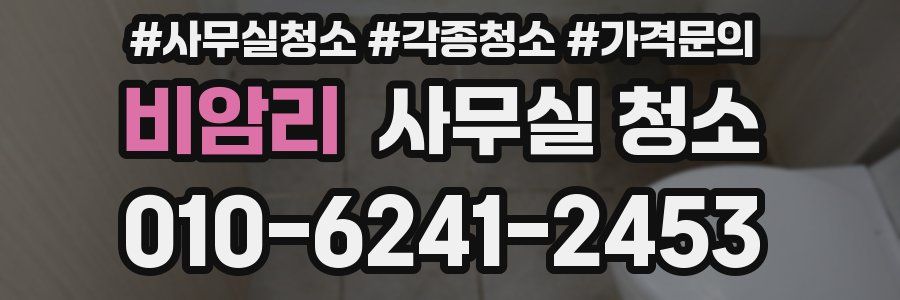 비암리 사무실 청소