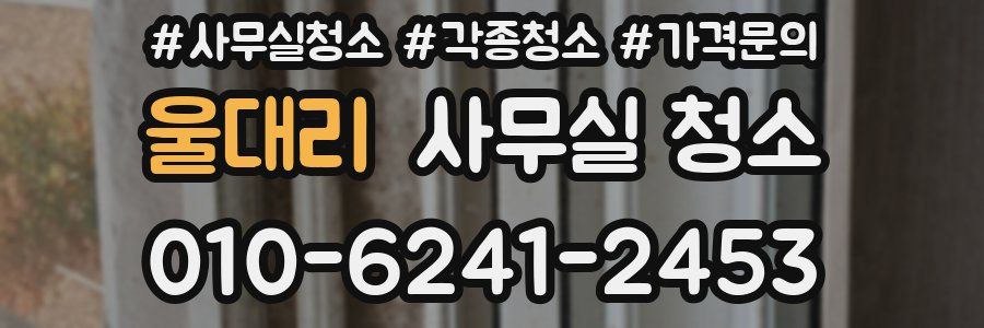 울대리 사무실 청소