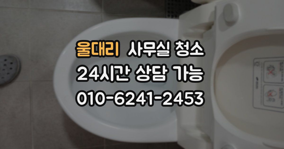 울대리 사무실 청소
