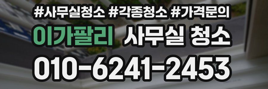 이가팔리 사무실 청소