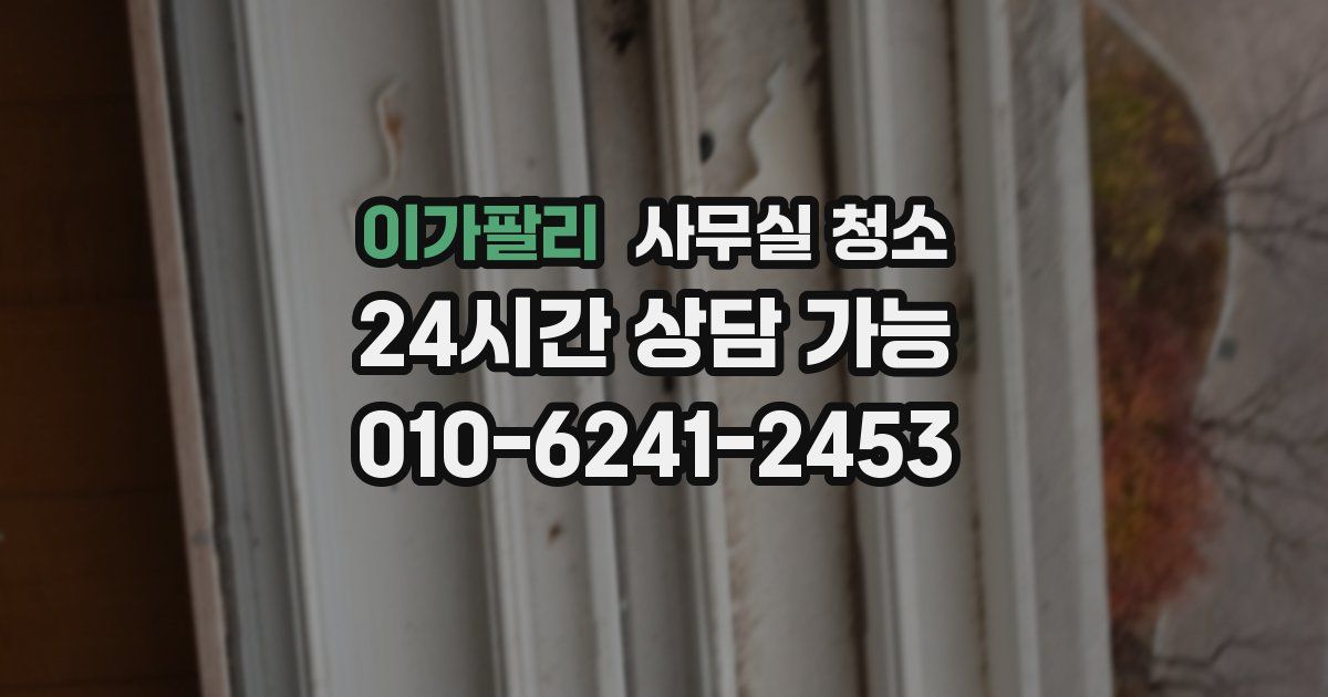 이가팔리 사무실 청소