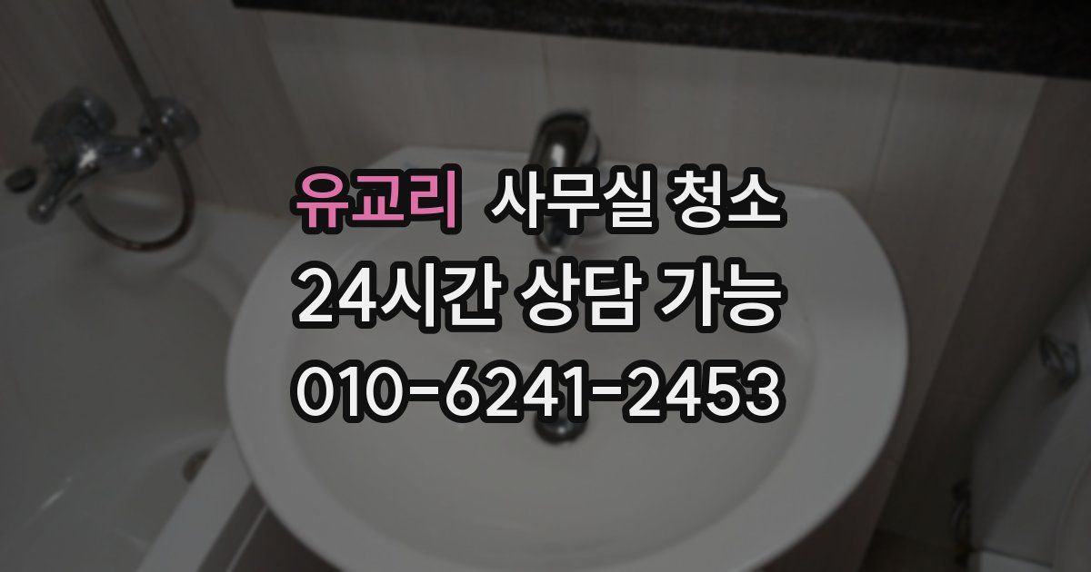 유교리 사무실 청소