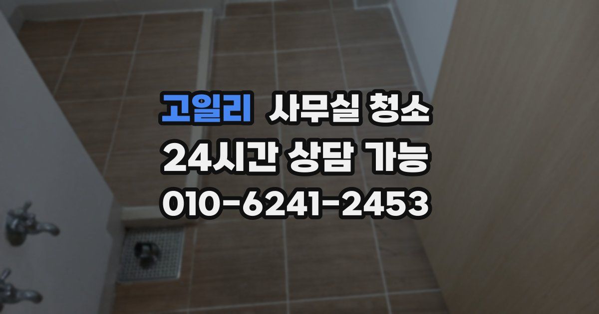고일리 사무실 청소