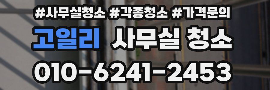 고일리 사무실 청소