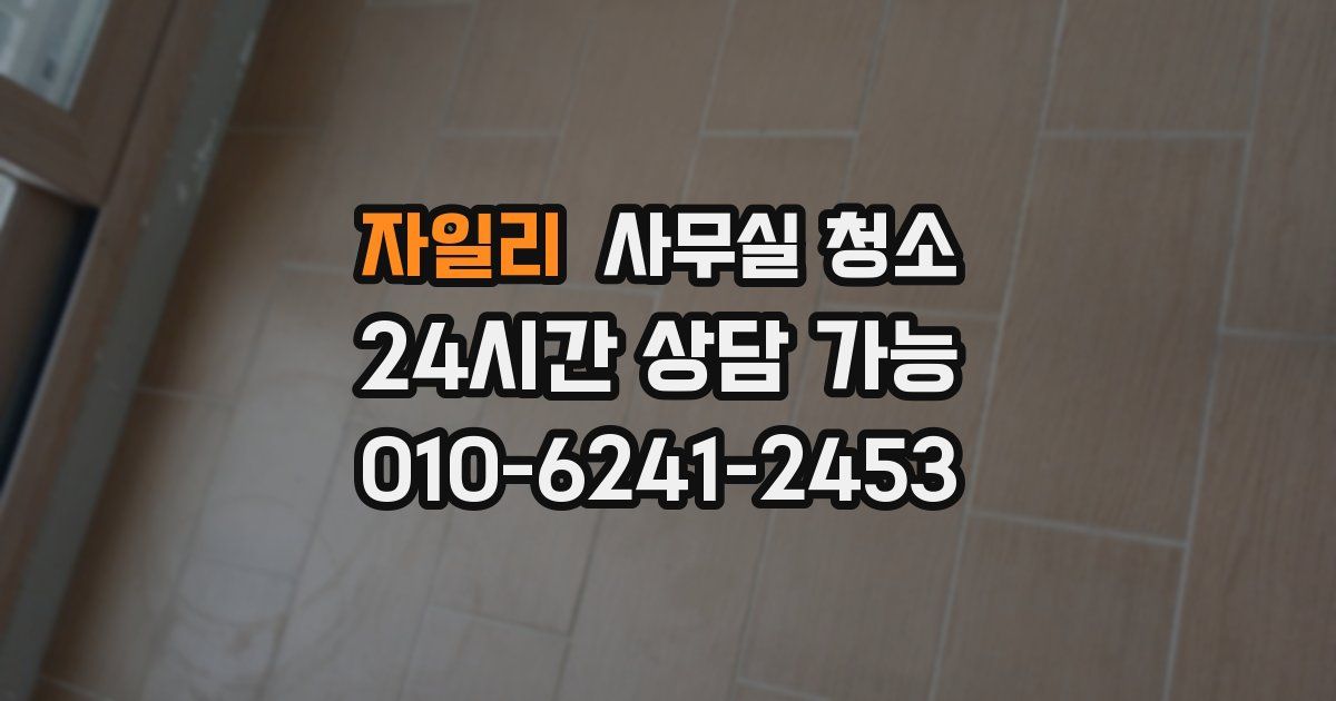 자일리 사무실 청소