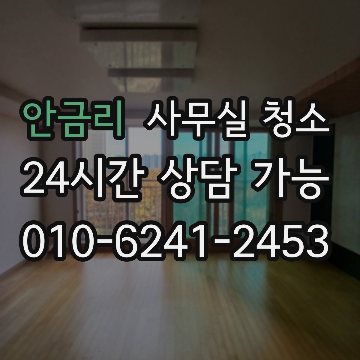 안금리 사무실 청소