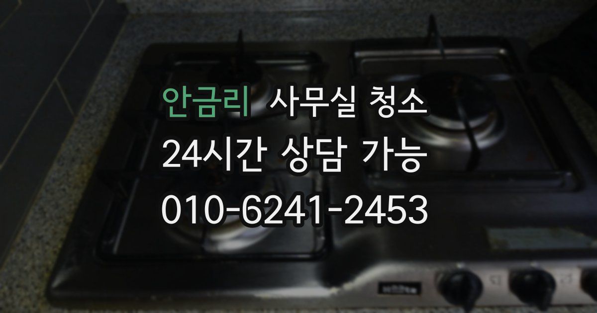 안금리 사무실 청소
