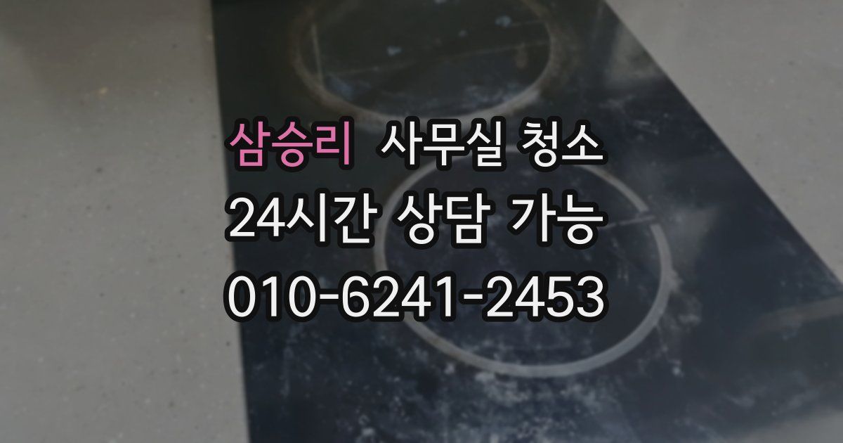 삼승리 사무실 청소