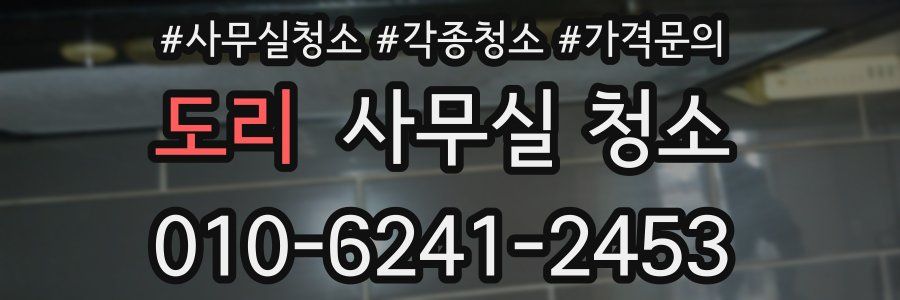 도리 사무실 청소
