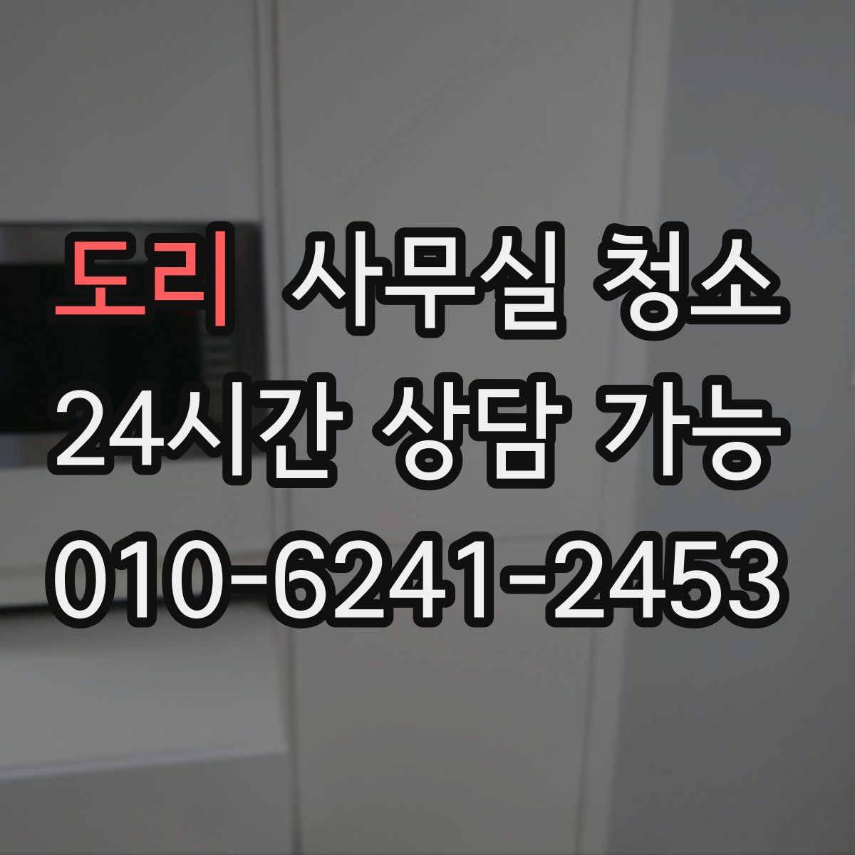 도리 사무실 청소
