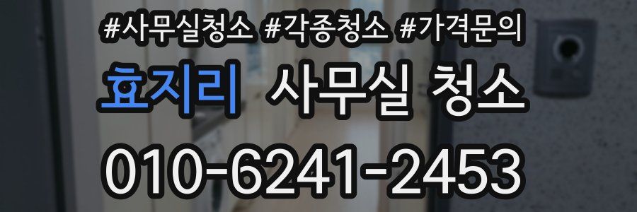 효지리 사무실 청소