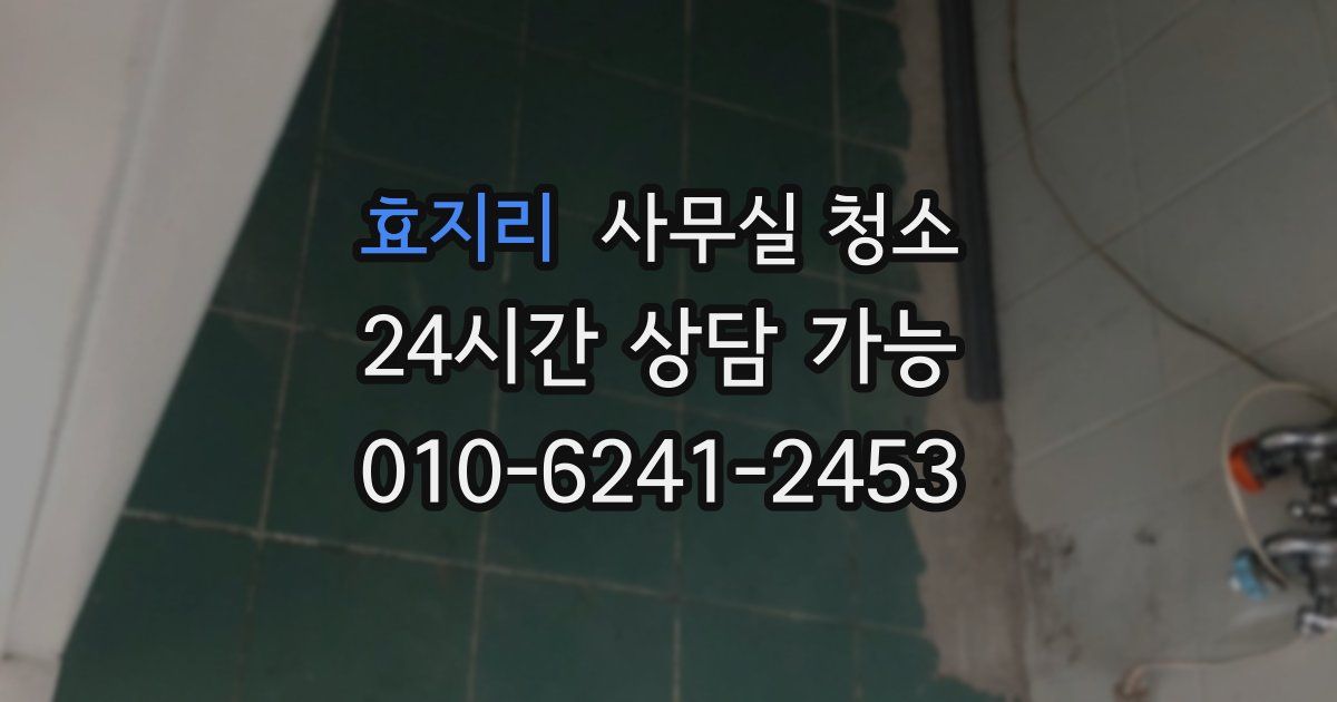 효지리 사무실 청소