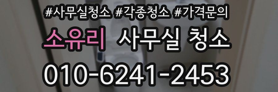 소유리 사무실 청소