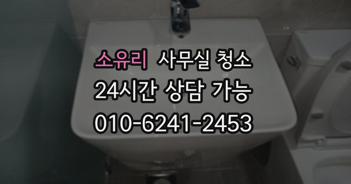 소유리 사무실 청소