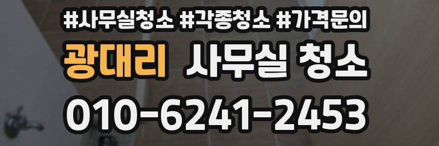 광대리 사무실 청소