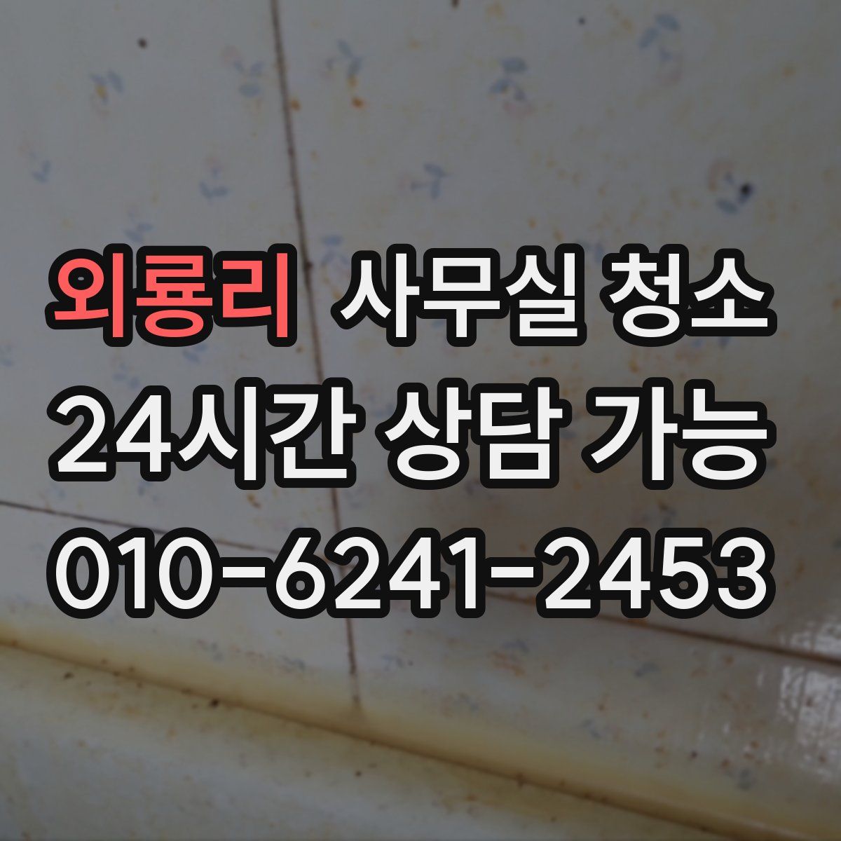 외룡리 사무실 청소