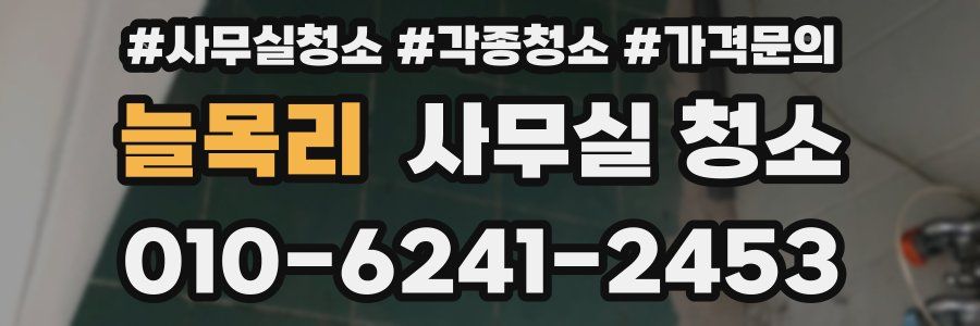 늘목리 사무실 청소