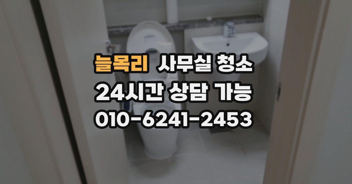 늘목리 사무실 청소
