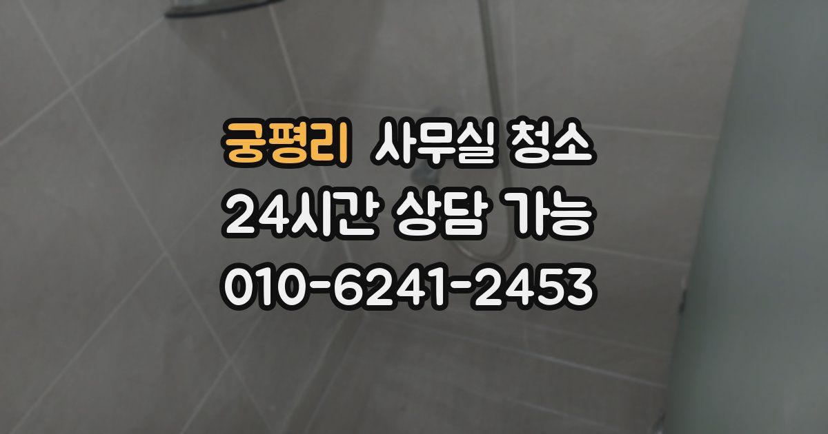 궁평리 사무실 청소